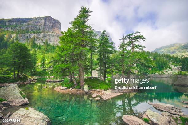 lac vert du fontanalba - lac fotografías e imágenes de stock