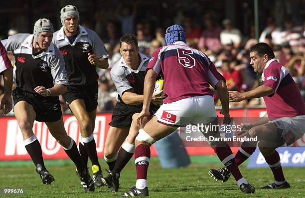 Trevor Halstead of the Sharks comes up against Nathan Sharpe for the Queensland Reds during the Super 12 Rugby Union match between the Queensland...