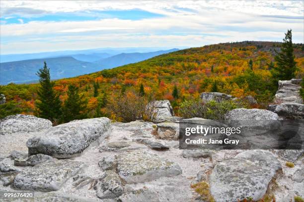 dolly sods - jane boone stock-fotos und bilder