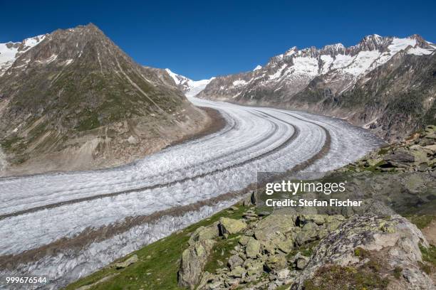 aletsch glacier - fischer stock pictures, royalty-free photos & images
