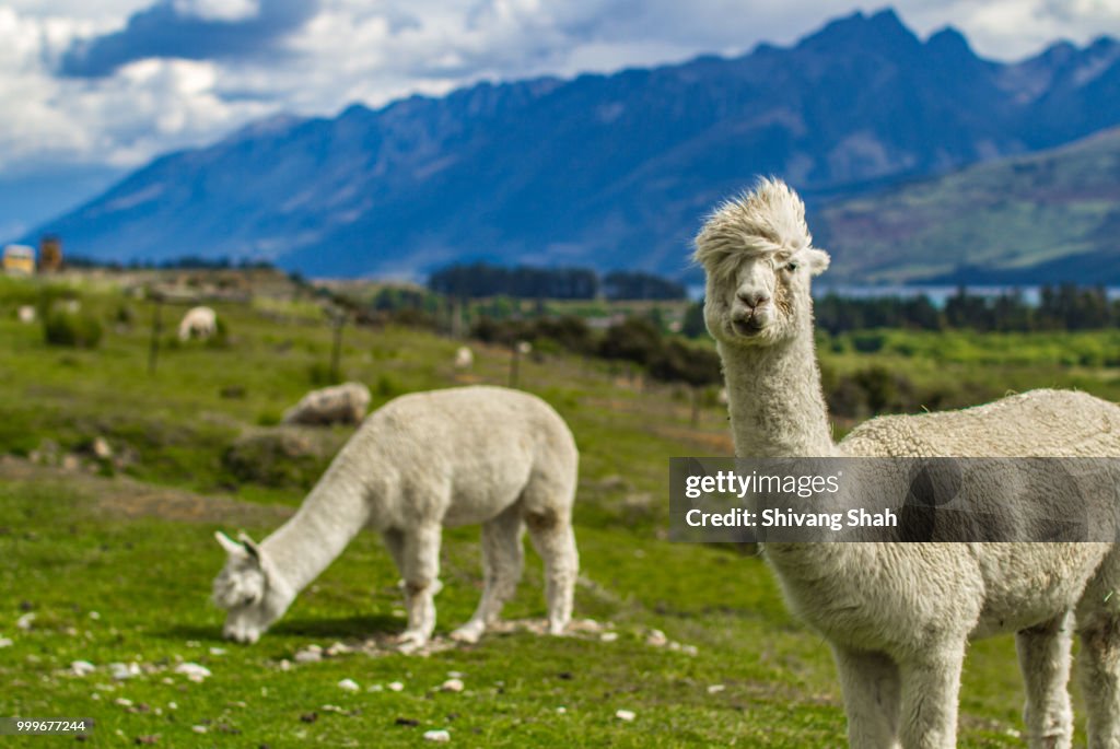 Glenorchy, New Zealand