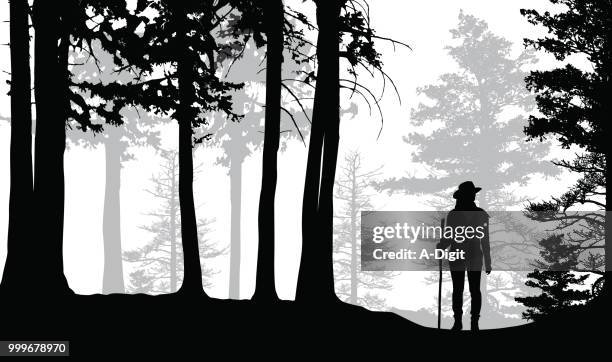 lost hiker in the woods - stick plant part stock illustrations