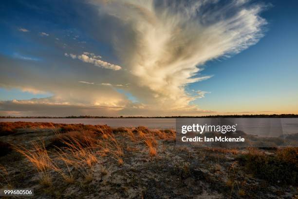 lake crosbie, linga, victoria, australia - lake victoria australia stock pictures, royalty-free photos & images