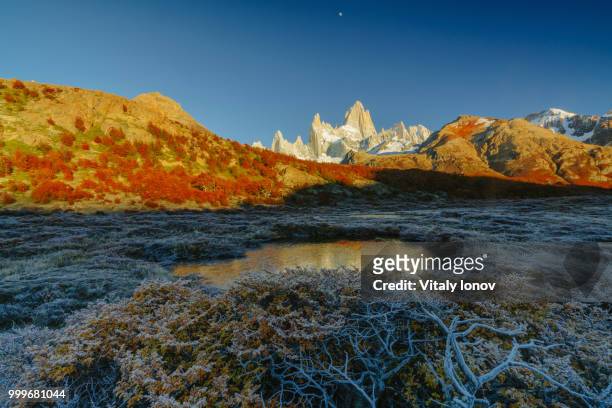 view of fitz roy, a frozen lake and covered with hoarfrost shrub. autumn patagonia, the argentine... - fitz roy stock-fotos und bilder