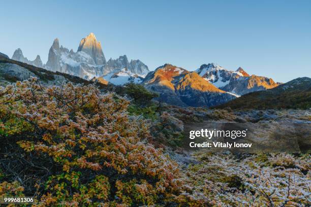 view of mount fitz roy and the bush in the national park los glaciares during sunrise. autumn in... - fitz roy stock-fotos und bilder