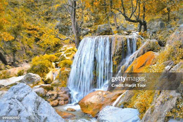 kempty falls, mussoorie, india - mussoorie stock pictures, royalty-free photos & images