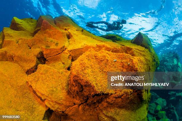 underwater volcano 2/2 - perspectiva de un submarinista fotografías e imágenes de stock