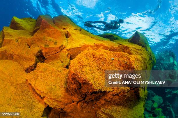 underwater volcano 2/2 - extreme sports point of view stock pictures, royalty-free photos & images
