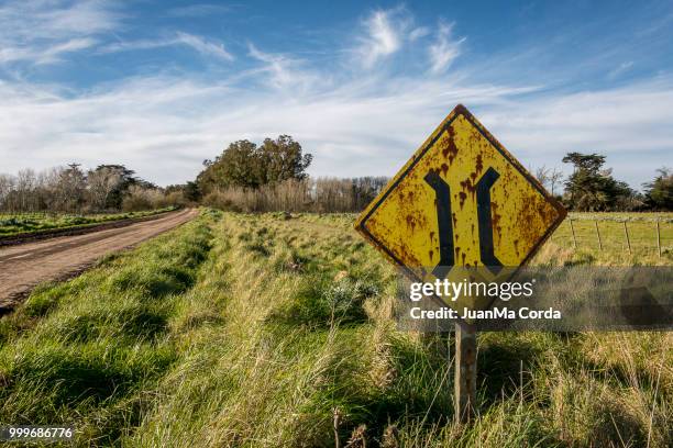coronel vidal,argentina - representación de animal fotografías e imágenes de stock