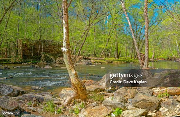 enoriverparkdunnagantraildurhamnc pano - john george lambton 1st earl of durham stockfoto's en -beelden