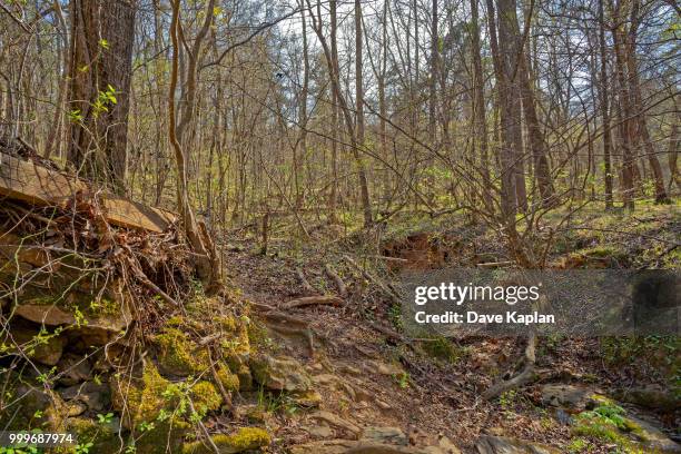 enoriverparkpumpstationtraildurhamnc - john george lambton 1st earl of durham stockfoto's en -beelden
