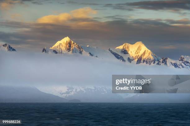 antarctic peninsula - southern atlantic islands stockfoto's en -beelden