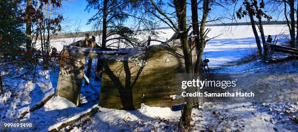 mn winter - transfer print stock pictures, royalty-free photos & images