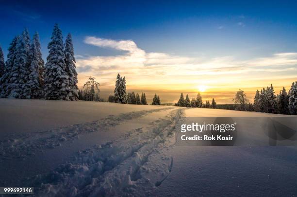 winter hiking. - rok stock pictures, royalty-free photos & images