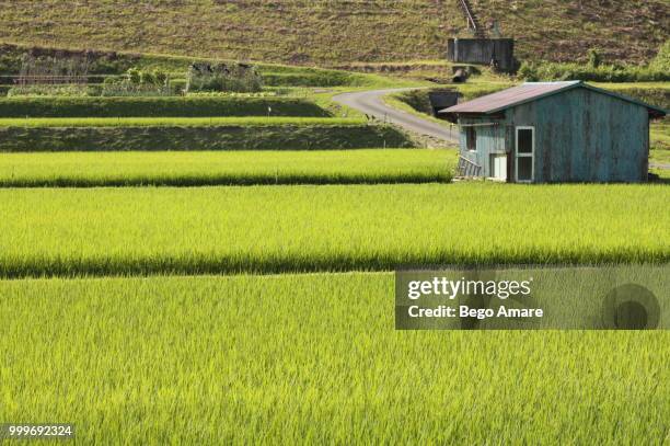 rural japan - amare stock-fotos und bilder