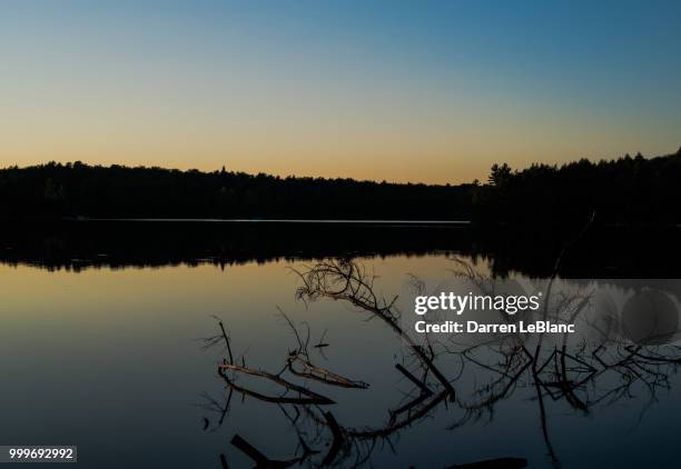 maple lake - or blanc stockfoto's en -beelden