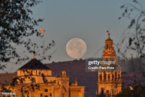 córdoba,spain - paco stock pictures, royalty-free photos & images