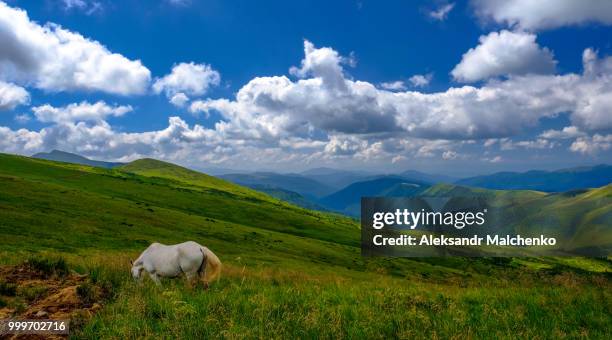 mountain dragobrat - aleksandr malchenko pictures and images stockfoto's en -beelden