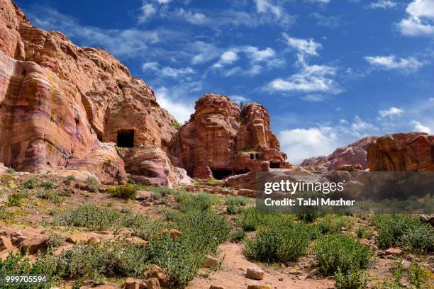 the design of nature - talal stock pictures, royalty-free photos & images