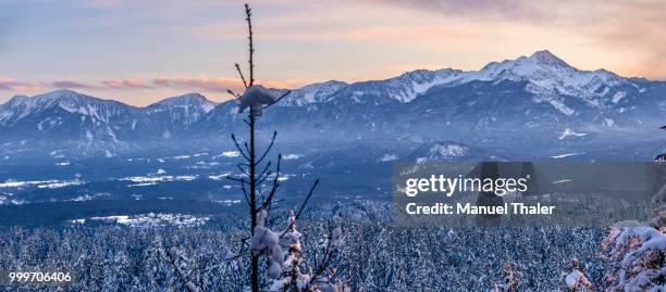 mittagskogel - mangel stock pictures, royalty-free photos & images