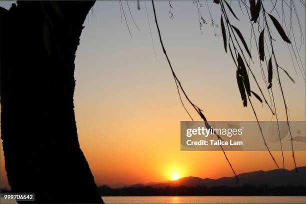 the sunset above the lake - lam stock pictures, royalty-free photos & images