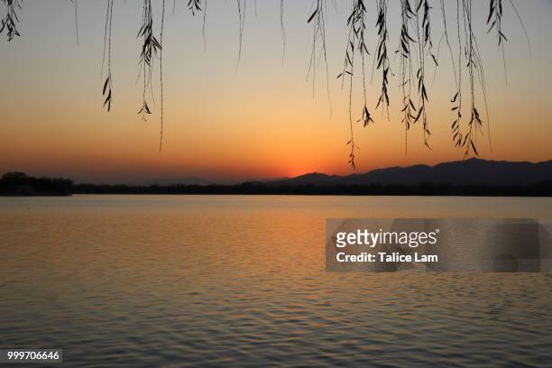 the sunset above the lake - lam stock pictures, royalty-free photos & images