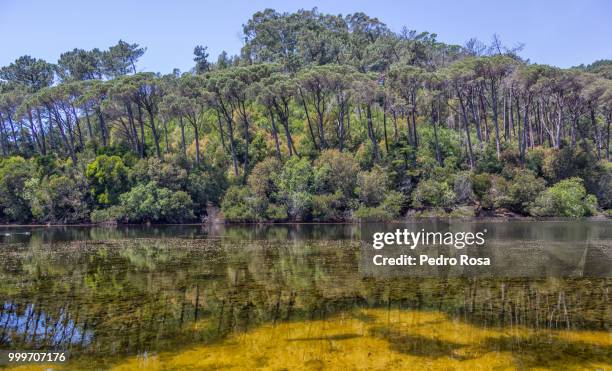 lago azul, sintra - lago 個照片及圖片檔