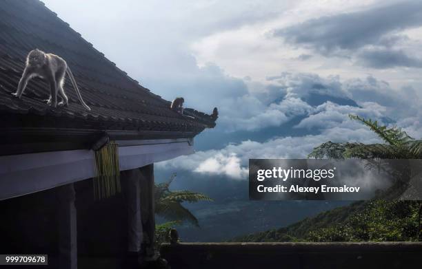 Agung High-Res Stock Photo