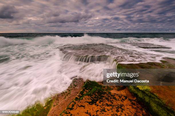 waves are flowing.... - mangel stock pictures, royalty-free photos & images