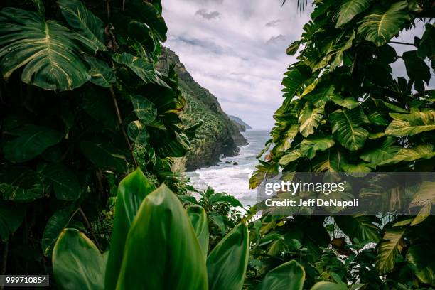 princeville,usa - princeville stock pictures, royalty-free photos & images