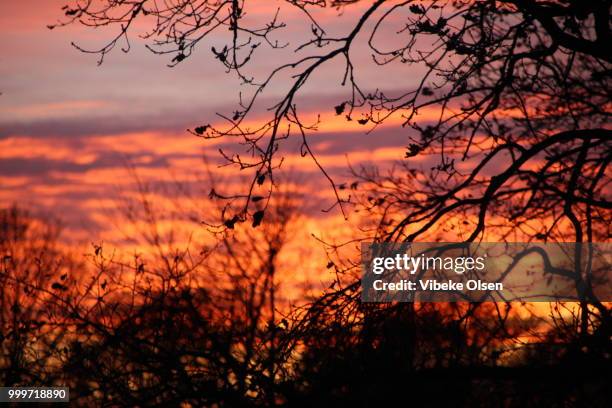 burning sky - olsen stock pictures, royalty-free photos & images