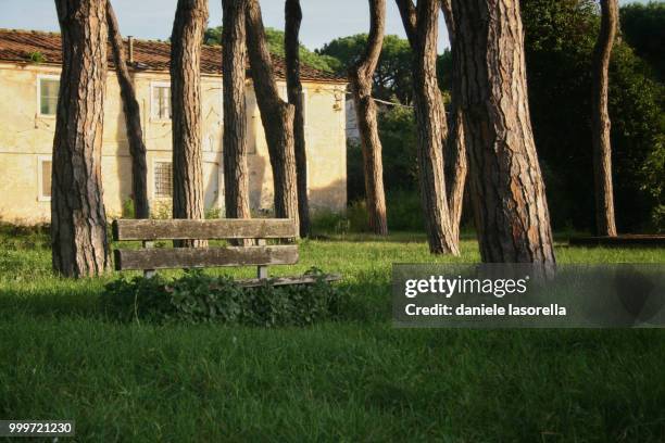 bench - eichenwäldchen stock-fotos und bilder