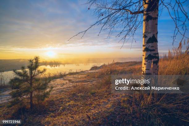 4,445 Pine Lake Stock Photos, High-Res Pictures, and Images