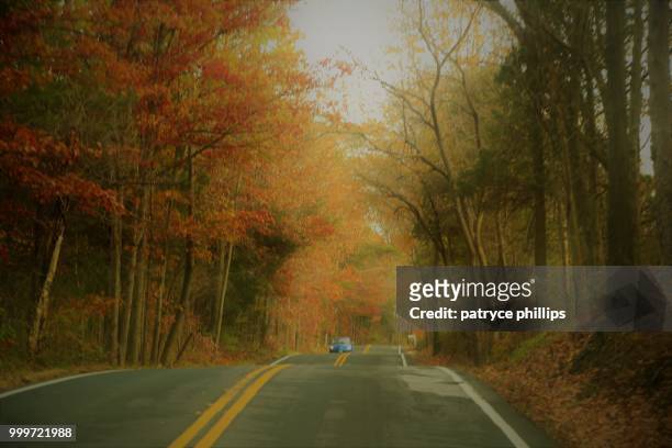 a quiet road - autumn phillips fotografías e imágenes de stock