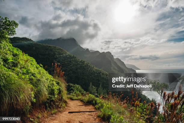 princeville,usa - princeville stock pictures, royalty-free photos & images