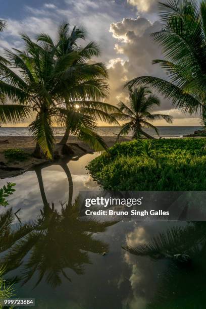 san andrés,colombia - galles 個照片及圖片檔