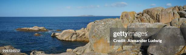 o grove, galicia, spain - ludwig stock pictures, royalty-free photos & images