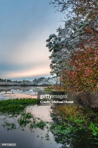 yes that's snow in se texas - se stockfoto's en -beelden