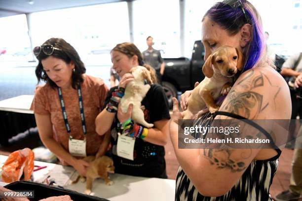 Nicole Henke, right, holds onto one of her 3 seven week old dachshund puppies who she brought to get some special medical attention at an on-site...