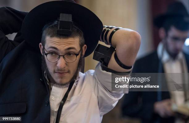 Devoted Jew prays while wearing a Tefilin around his arm at the Westend Synagogue in Frankfurt/Main, Germany, 5 September 2017. Religious jews from...