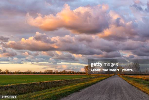 henderson road, pelee island - henderson island stock pictures, royalty-free photos & images