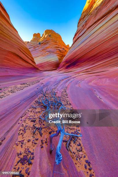 Red Wave Rocks 1,124 The Wave Rock Formation Stock Photos, High-Res Pictures, and ...