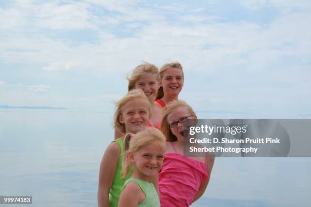 five sisters together at the great salt lake, utah - ilha de antelope imagens e fotografias de stock