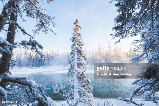 standing still - shibley stock pictures, royalty-free photos & images