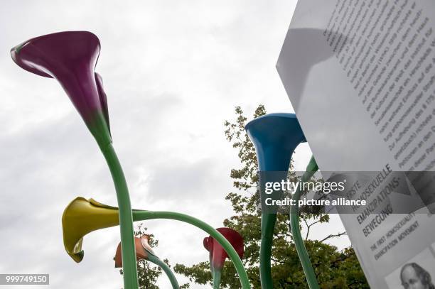 Giant colourful calla lilies can be seen at the Magnus-Hirschfeld-Ufer in Berlin, Germany, 7 September 2017. The artificial flowers make up the...