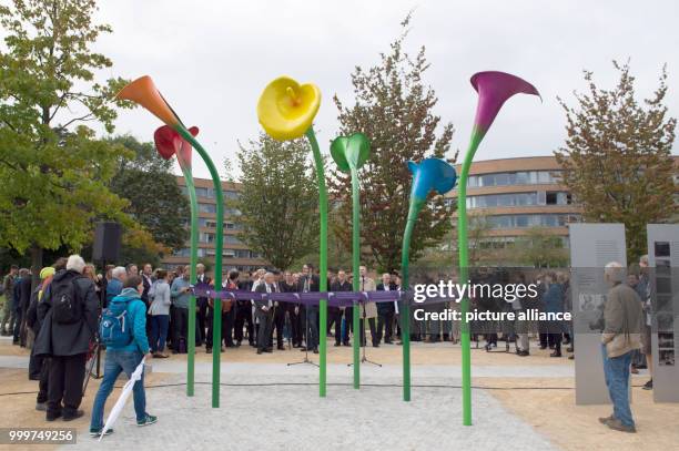 Giant colourful calla lilies can be seen at the Magnus-Hirschfeld-Ufer in Berlin, Germany, 7 September 2017. The artificial flowers make up the...