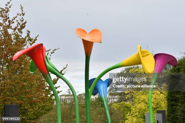 Giant colourful calla lilies can be seen at the Magnus-Hirschfeld-Ufer in Berlin, Germany, 7 September 2017. The artificial flowers make up the...