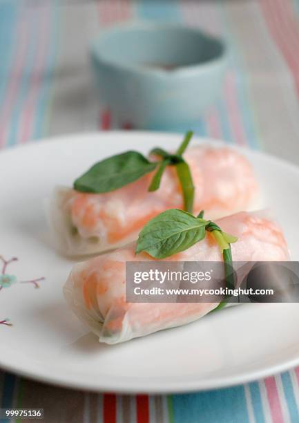 vietnamese spring rolls - www photo com stock pictures, royalty-free photos & images