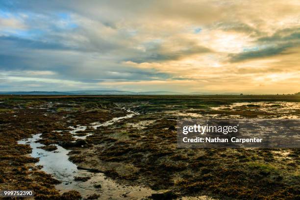 mud flats - mud imagens e fotografias de stock