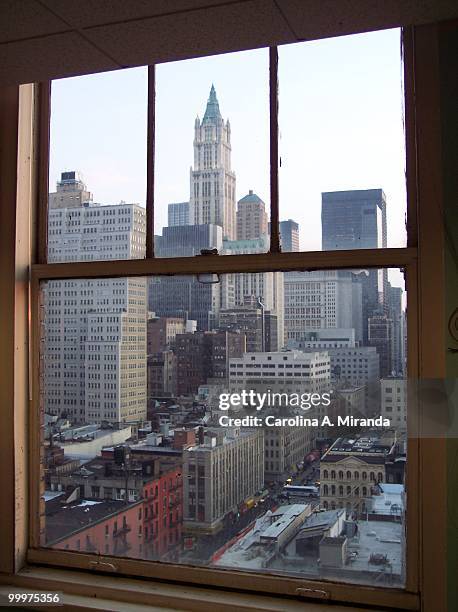 the view of woolworth building  - carolina miranda stock pictures, royalty-free photos & images